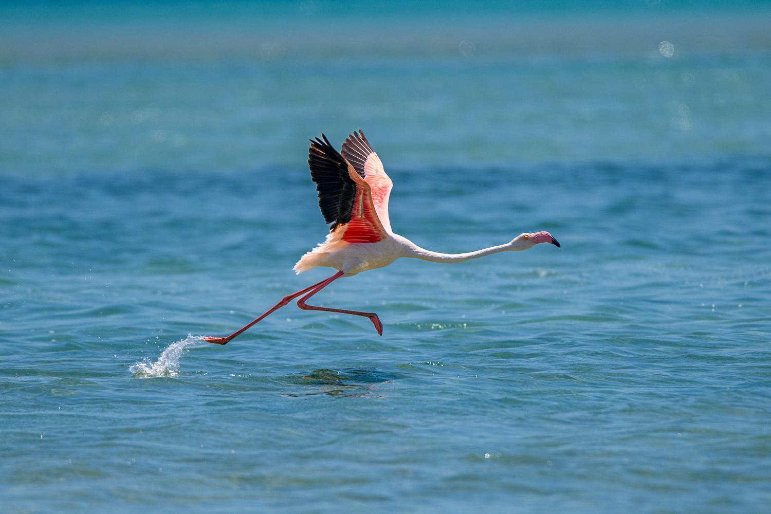 Ocean Pearl Beach Lodge Vilanculos Luaran gambar